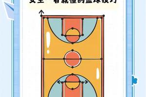 哪里有适合初学者的篮板训练教程?全面指南与推荐